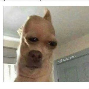 Looking for Mcm or Burberry belt